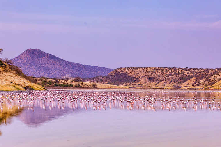 Jezioro Magadi