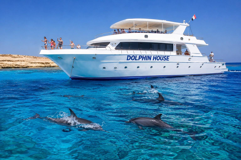 Marsa Alam: Dolphin House Snorkeling Cruise Lunch & Transfer