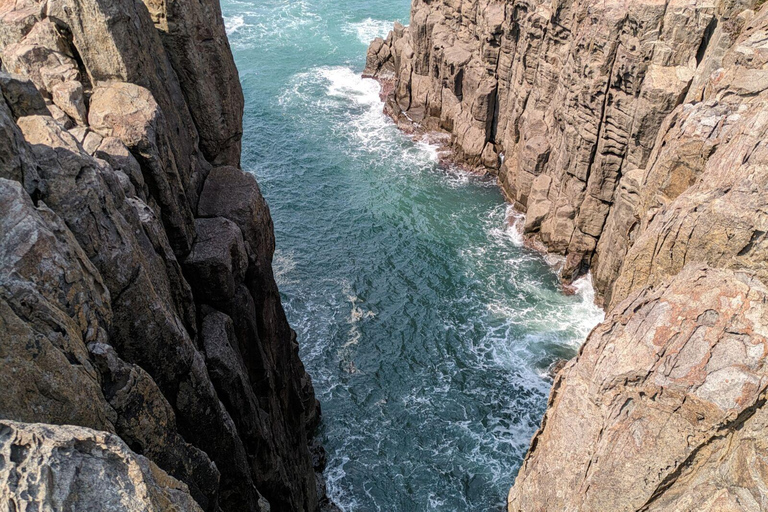 Depuis Kanazawa : Les falaises, l&#039;île et le port époustouflants de Fukui