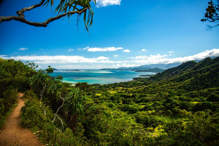 Oahu: Kualoa Open Air Jungle Expedition Tour