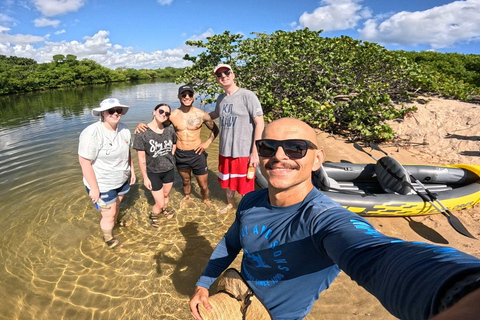 Fort Lauderdale: Kayak & Paddleboard Mangroves Eco Adventure