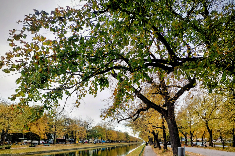 Bike through Munich's life: The bike tour through the cosmopolitan city with a heart Cycling through Munich's life: The bike tour through the cosmopolitan city with a heart
