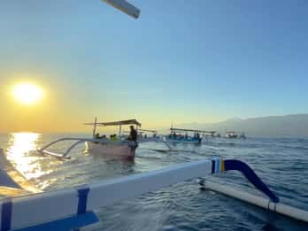Lovina Dolphin Watching + Swimming with dolphin Private tour