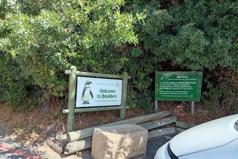 Cape town:Cape of good hope afternoon tour/penguins