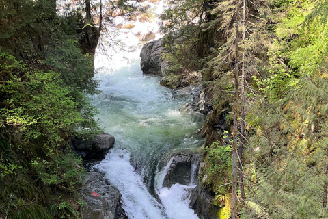 Vancouver: Regenwald-Wasserfall-Wanderung und Hängebrücke