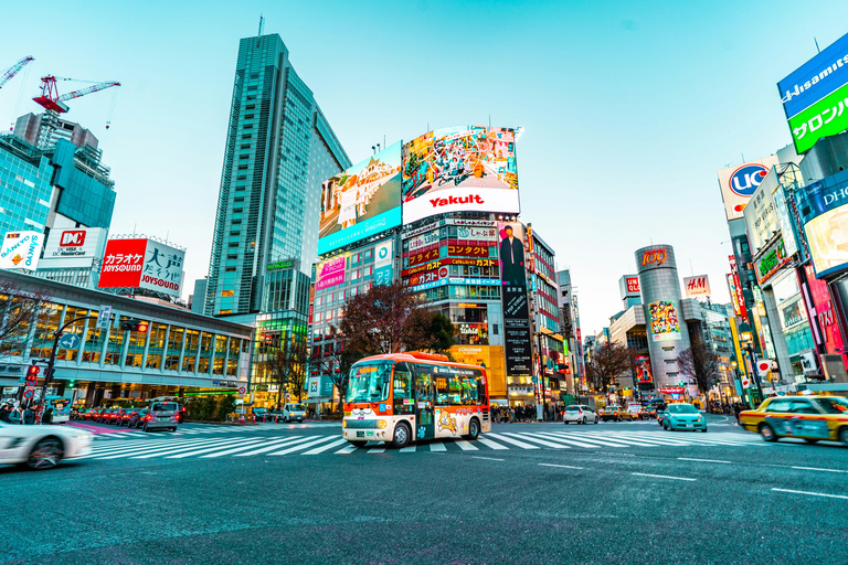 Tokio: Tour a pie asequible y personalizable