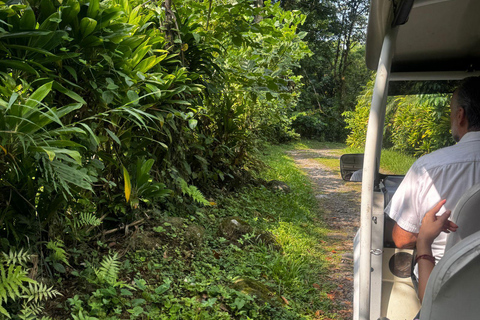 Tapachula: Argovia Coffee, Flowers, and Legacy Tour