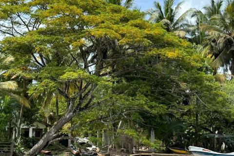 All-Inclusive Galle Dutch Fort, Koggala Lake & Kayak Tour From Tangalle: Galle Dutch Fort, Koggala Lake & Kayak