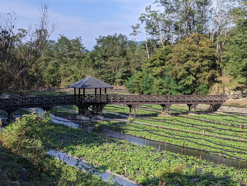わさび農場散策ツアー（昼食付き）