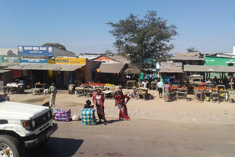 Livingstone: City Tour with Museum and Maramba Village