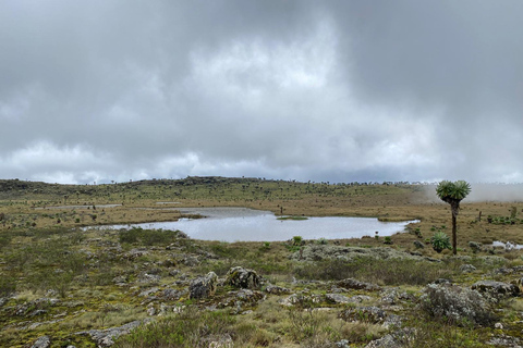 Haz senderismo por los encantadores Siete Estanques de los AberdaresRecogida en Naivasha