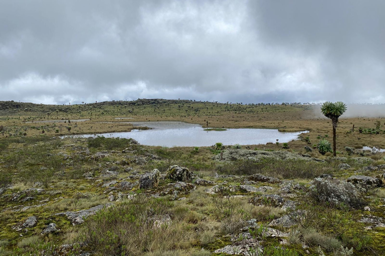 Haz senderismo por los encantadores Siete Estanques de los AberdaresRecogida en Naivasha