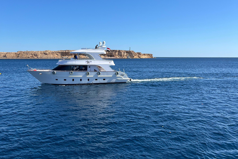 Sharm el-Sheikh: Ras Mohammed & White Island Dive & Snorkel Option 2: Certified Divers - Including Equipment