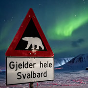Longyearbyen: Jagd nach den Nordlichtern per Van