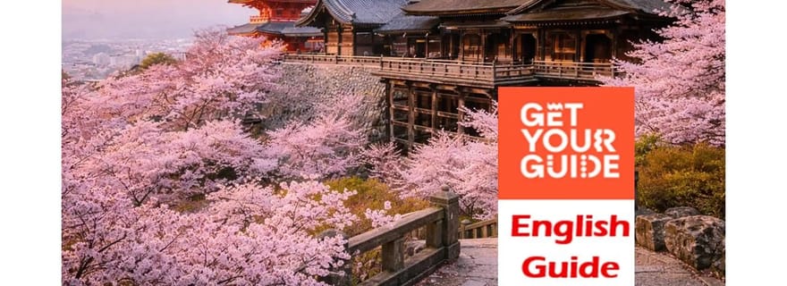 Kyoto : visite d'une journée personnalisable avec guide et véhicule