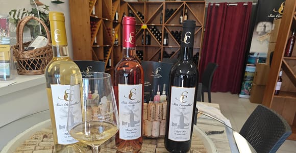 Mallorca: Weinprobe bei Porto Cristo - Vinothek Cala Mandia - 8 Weine