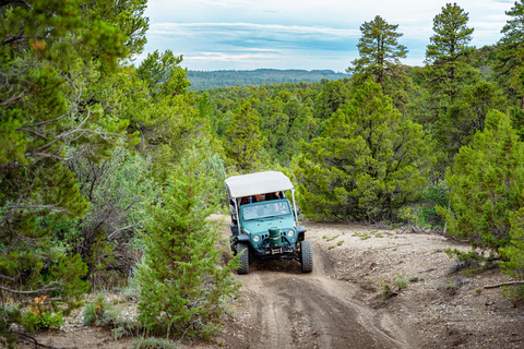 East Zion: Sunset, S'mores, and Stargazing Jeep Experience