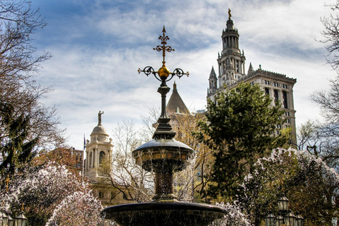 NOVA YORK: Ponte do Brooklyn, Estátua da Liberdade e passeio por ManhattanExcursão em grupo