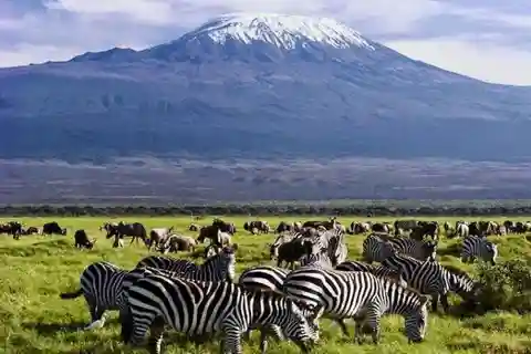 Amboseli National Park reis 3 dagen bezoek op safari auto 4x4