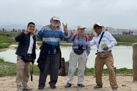 Lima silvestre: visita guidata a un rifugio naturale nel fiume Rímac