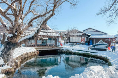 Tokyo: 8-Day Tour with Fuji, Kyoto, Nara, Hiroshima & Osaka Day 8 - Osaka Highlights (Spanish)