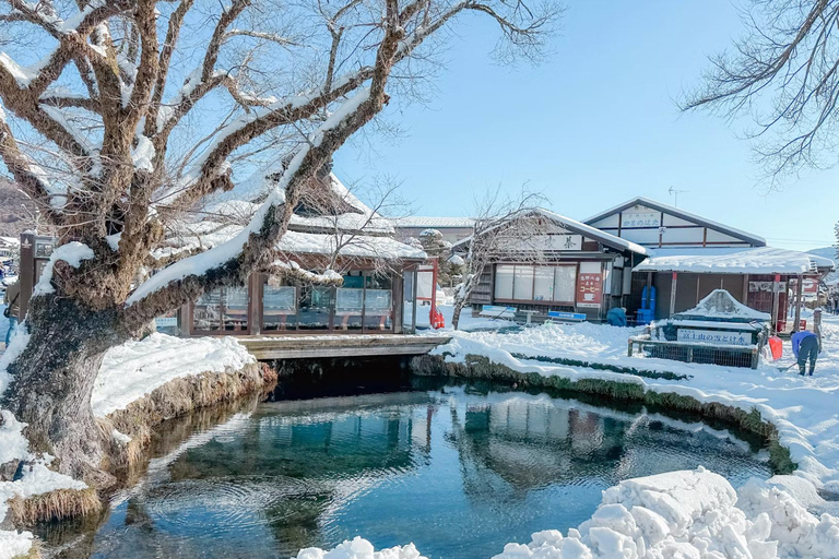 Tokyo: 8-Day Tour with Fuji, Kyoto, Nara, Hiroshima & Osaka Day 8 - Osaka Highlights (Spanish)