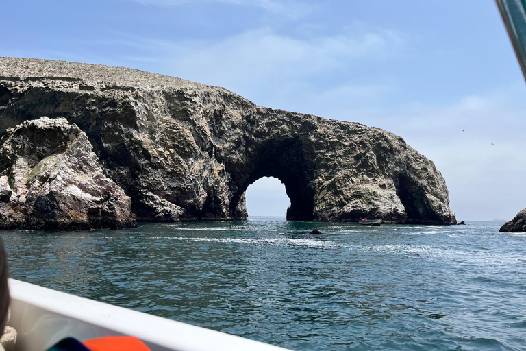 From Ica: Ballestas Islands and Paracas National Reserve. Private from Ica: Ballestas Islands and Paracas National Reserve.