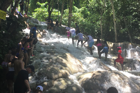 Montego Bay: Dagtrip Dunn&#039;s River Falls en Ocho Rios