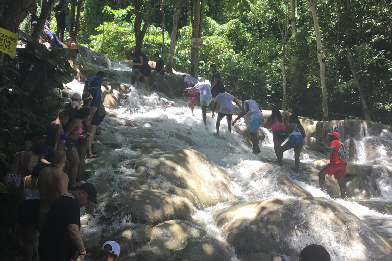 Montego Bay : Excursion d&#039;une journée aux chutes de la rivière Dunn et à Ocho Rios