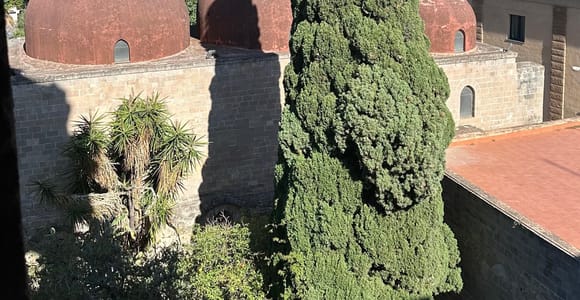Palermo: Walking Tour of Secret Terraces & Hidden Corners