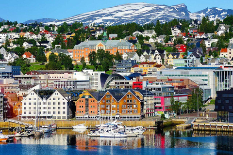 Tromsø: Inseltour mit Seilbahnfahrt (privat oder gemeinsam)Tromsø: Private Tour auf eine Insel mit Seilbahnfahrt und Mittagessen
