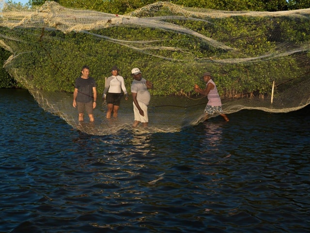 Cartagena: FISHERMEN'S ISLAND IN THE MANGROVES by canoe