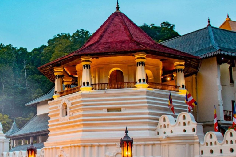Bentota: Kandy Day Tour with Temple of the tooth & Gardens