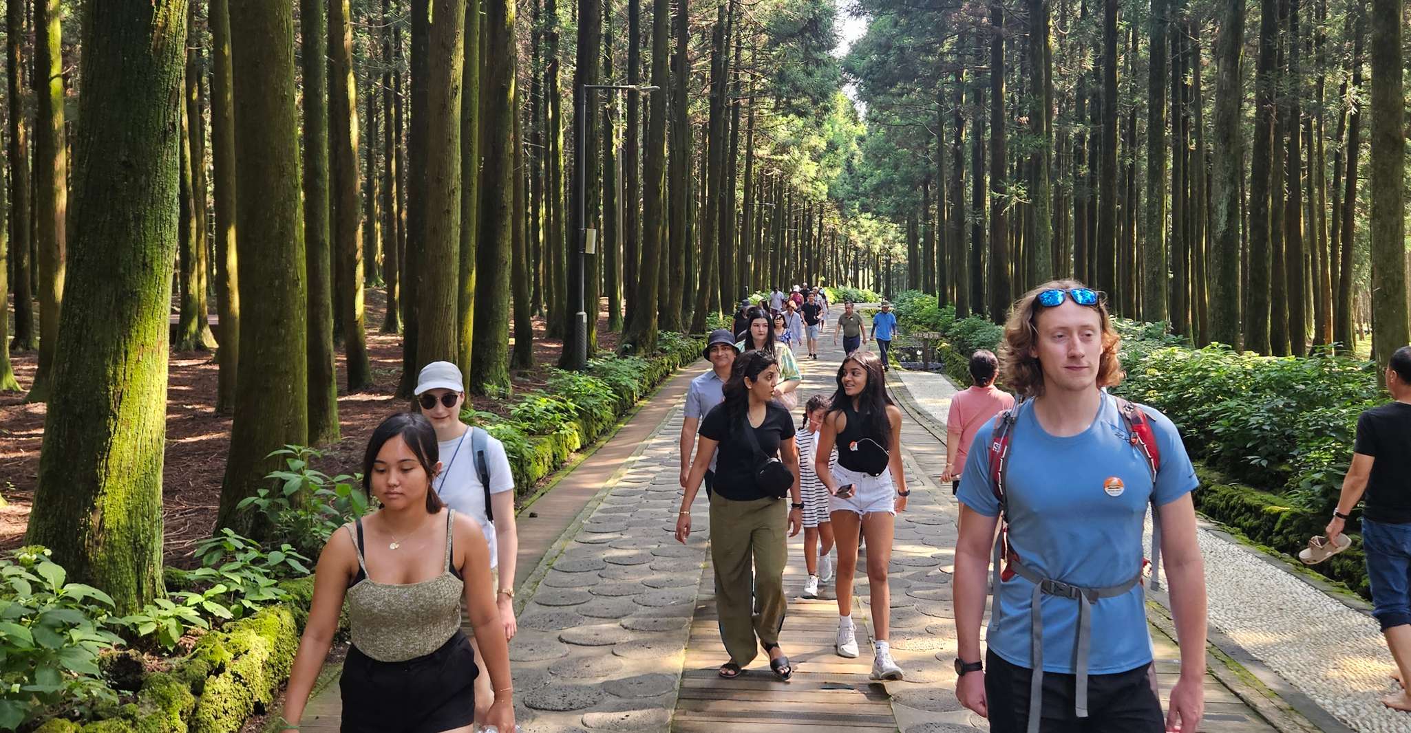 明明行使と昼食付きのイーストバスツアーには満期旅行が含まれます - Hizvo