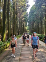 Jeju Isola East Bus Tour con pranzo incluso Escursione di una giornata intera - Hizvo