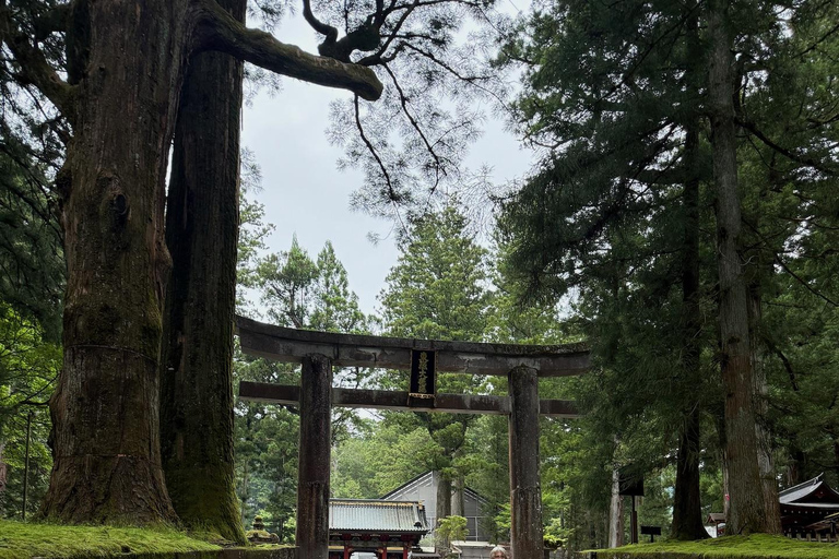 Tokyo: Nikko Private Day Tour with Pickup