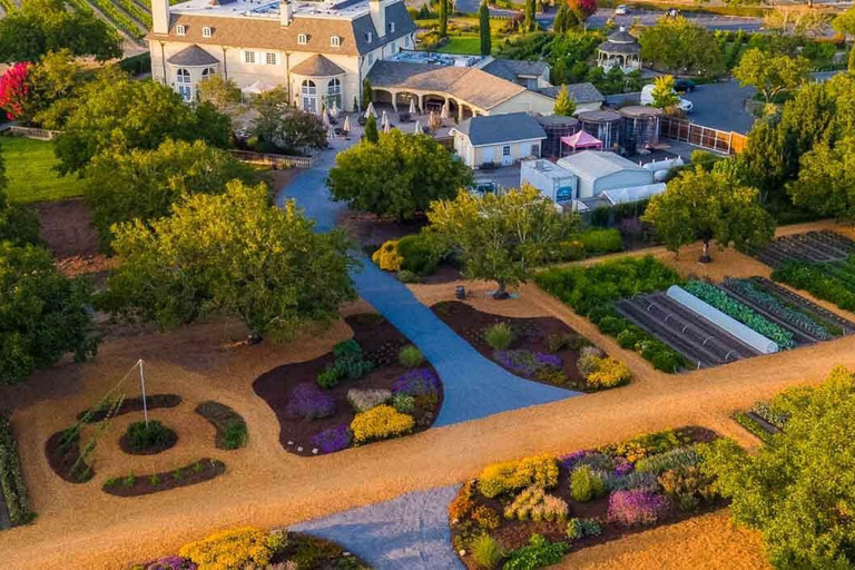 From San Francisco: Redwoods Tour and Gourmet Lunch and Wine