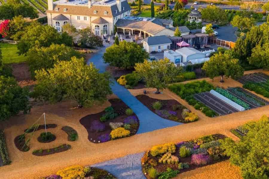 Ab San Francisco: Redwoods-Tour, Gourmet-Mittagessen und Wein. Foto: GetYourGuide Ab San Francisco: Redwoods-Tour, Gourmet-Mittagessen und Wein. Foto: GetYourGuide