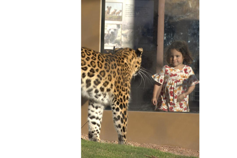 Phoenix Zoo: algemeen toegangsbewijs voor één dag