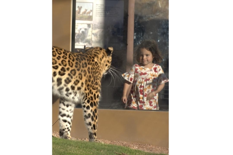 Zoo w Phoenix: jednodniowy bilet wstępu ogólnego