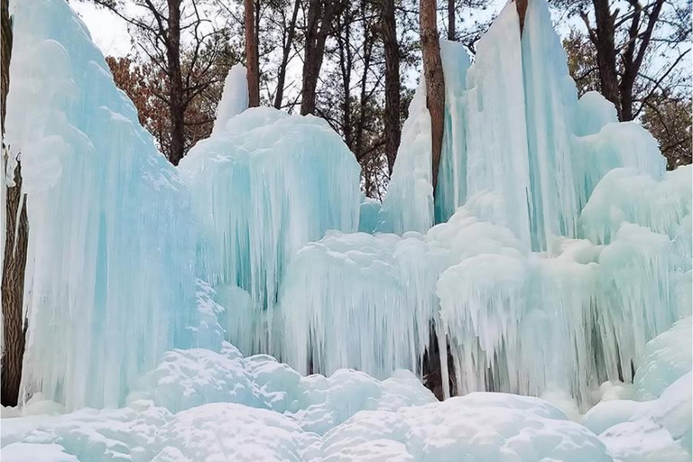 Seúl: Excursión de invierno en Pocheon con recogida de fresasSalida desde la estación Dongdaemun History&amp;Culture Park, salida 10.