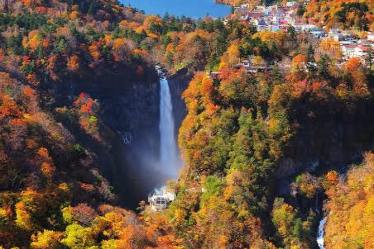 From Tokyo To Nikko Private Day Tour With English Guide