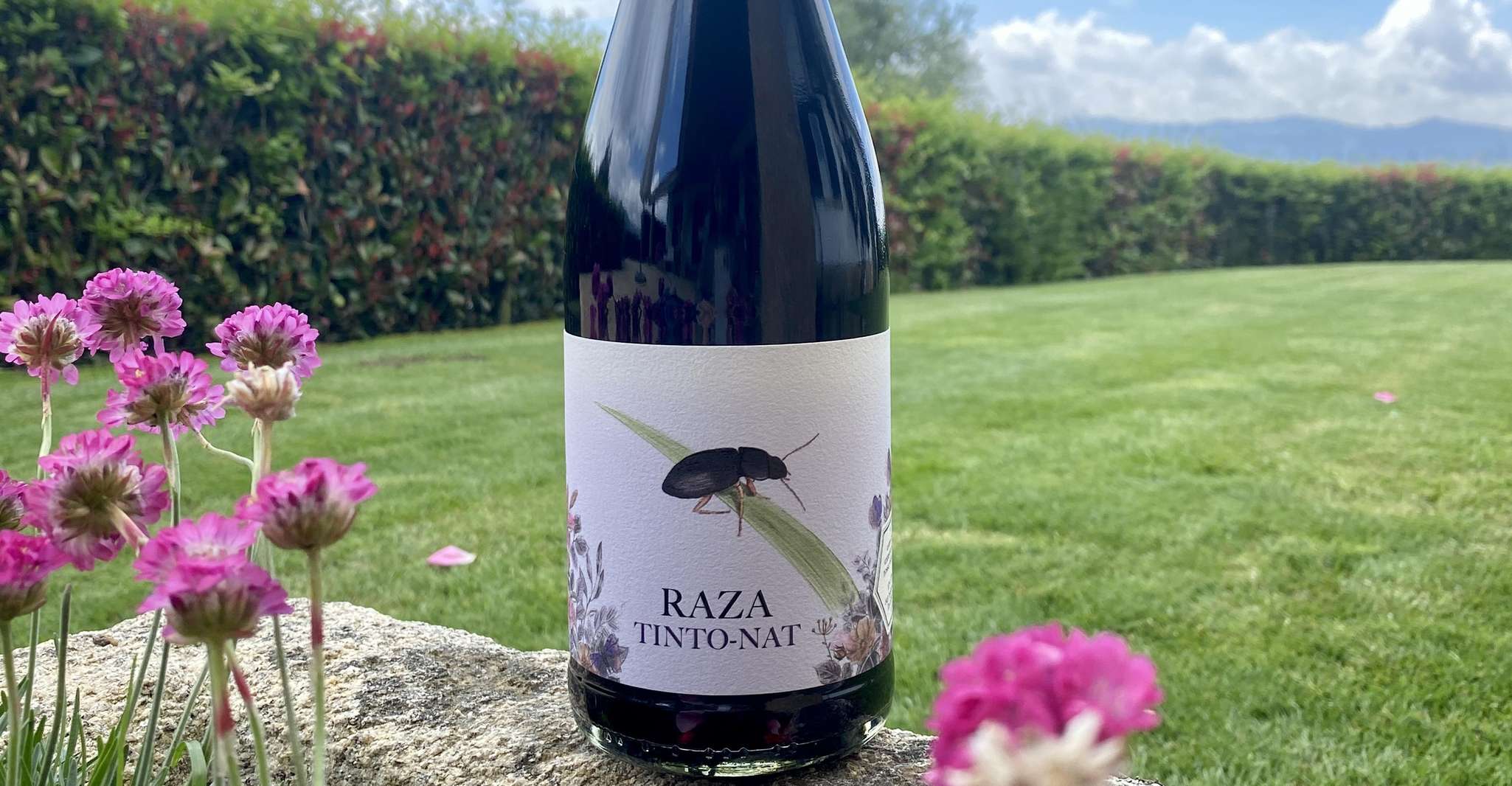 Vins naturels Quinta da Raza - Hizvo