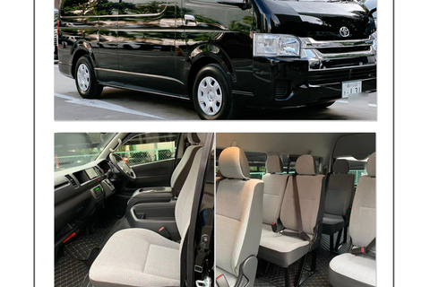 Nagoya Airport Pickup 2-Hour Private Nagoya Highlights Tour