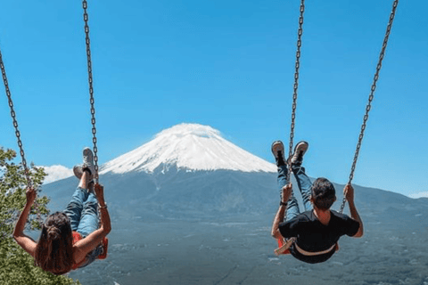 From Tokyo: Mount Fuji Full Day Customizable Private Tour