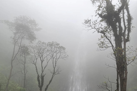 Materuni Waterfalls and Coffee Day Tour