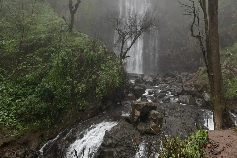 Materuni Waterfalls and Coffee Day Tour