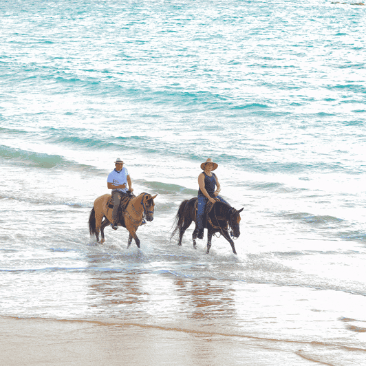 Horseback Riding
