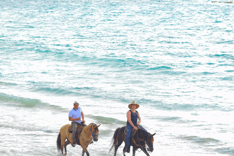 Horseback Riding Tour SayulitaHorseback Riding Tour Long SAYULITA