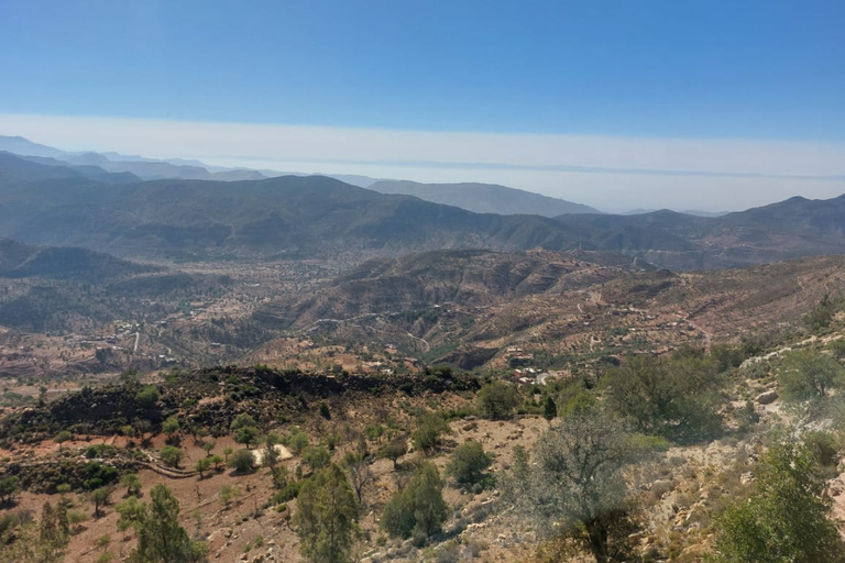 Agadir: High Atlas Mountains, Goats on Trees & Garden Tour